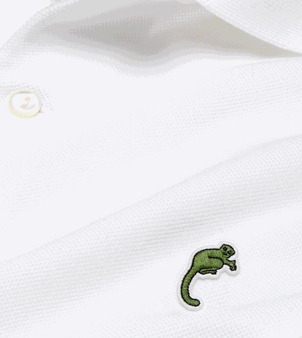 鳄鱼商标是什么品牌,鳄鱼商标是朝哪个方向的