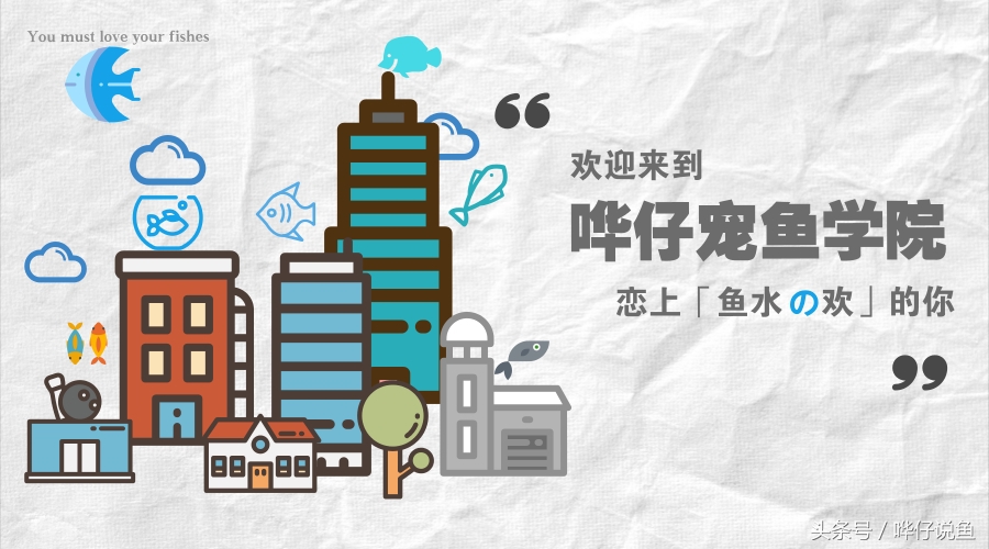 硝化细菌对观赏鱼有什么作用,宠物鱼硝化细菌怎么培养