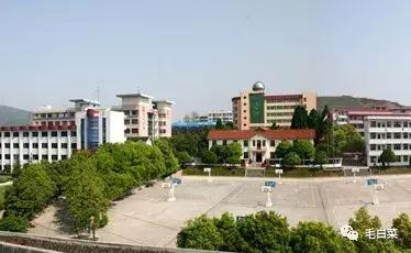 陈卫民：斗鸡（散文）