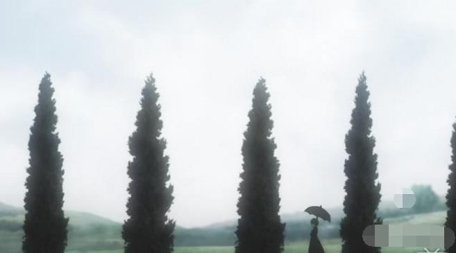 现在的京紫怎么样了,京紫完整版