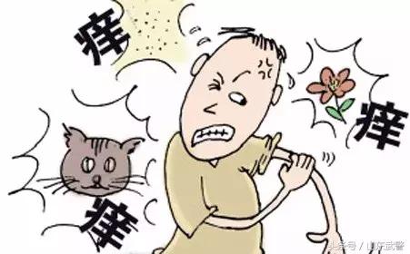 过敏君科普,过敏君的尴尬人生