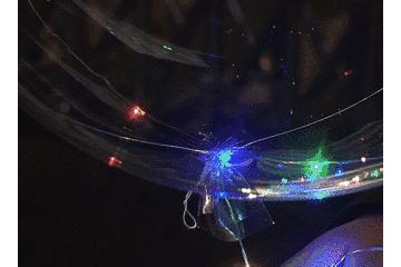 儿童洞洞鞋有什么危害,儿童洞洞鞋危害