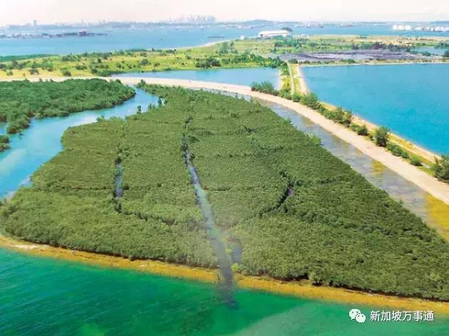 新加坡15个骨灰级秘密，知道一半你比本地人还厉害~