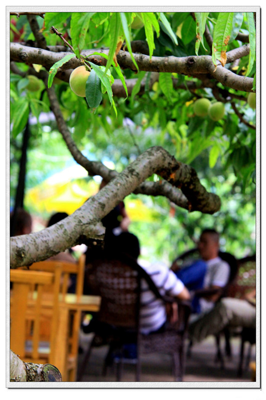 龙泉市好吃美食,丽水市龙泉市特色美食