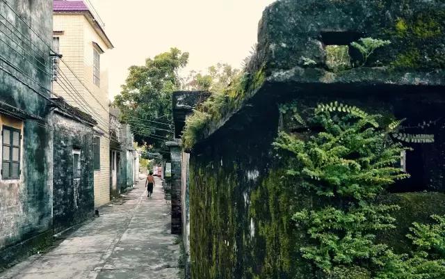 黄沙蚬新会,江门新会黄沙蚬季节