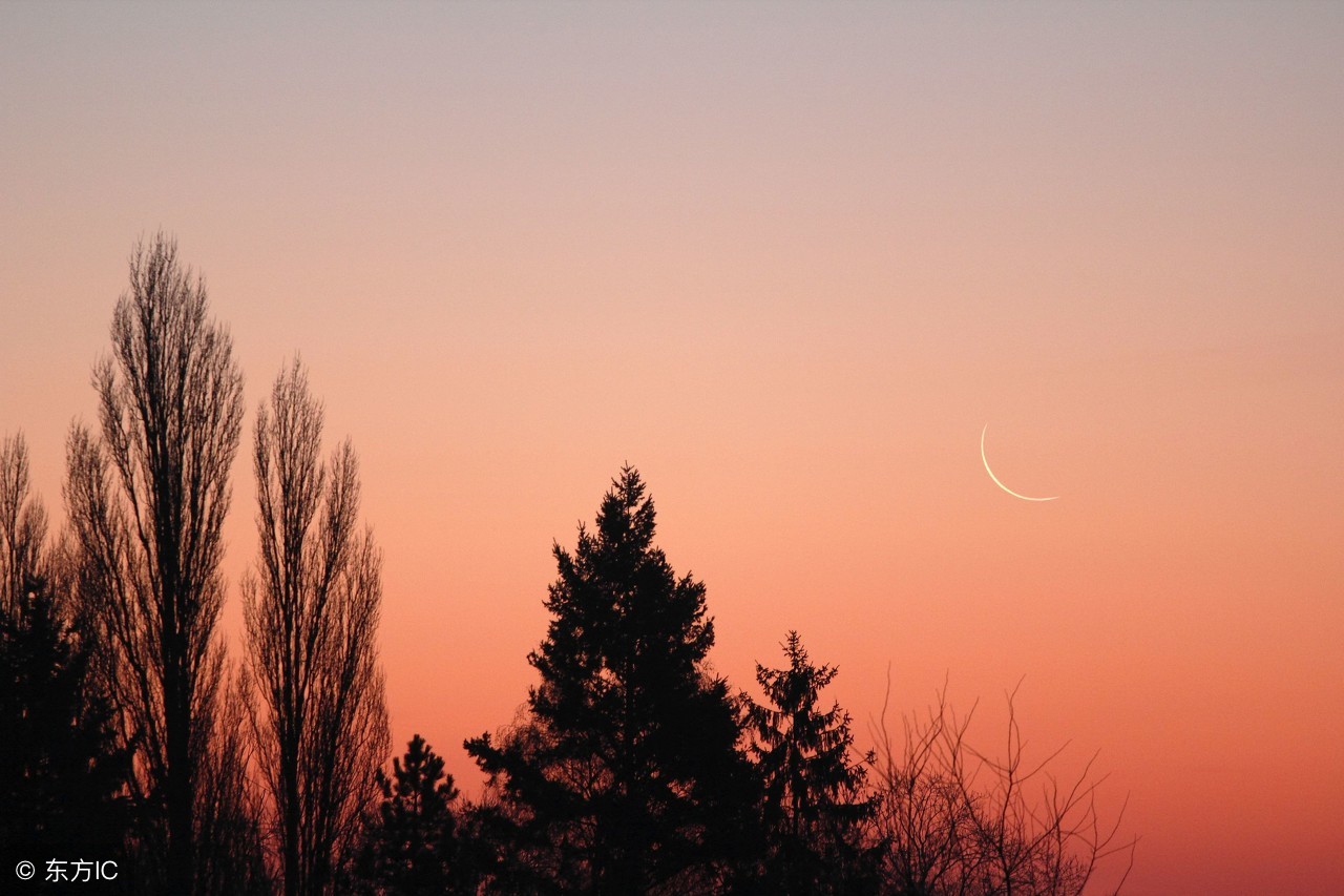 淡然相守相安无事,淡然相守不相离