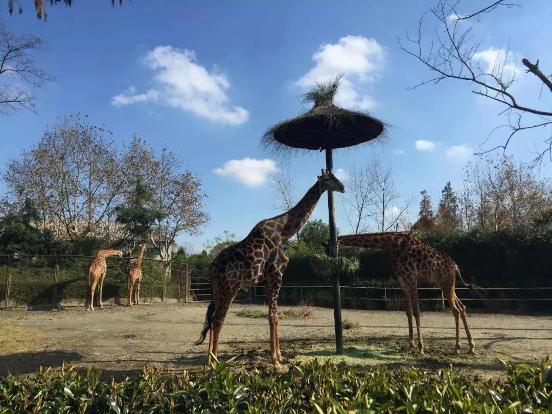 上海地铁首末班车时间全部,上海地铁首末车时间表最新