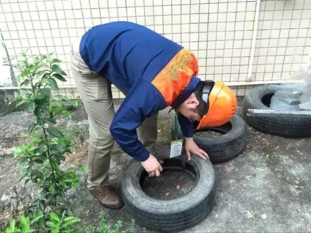 除四害消灭老鼠,治理四害老鼠