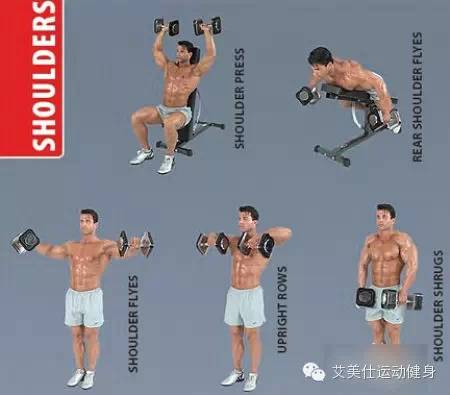 盆底修复哑铃的正确锻炼方法,中学生哑铃的正确锻炼方法