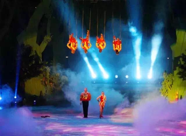 想投食小白虎、赏国际马戏？你有时间，小编有票，周末灵玲走起