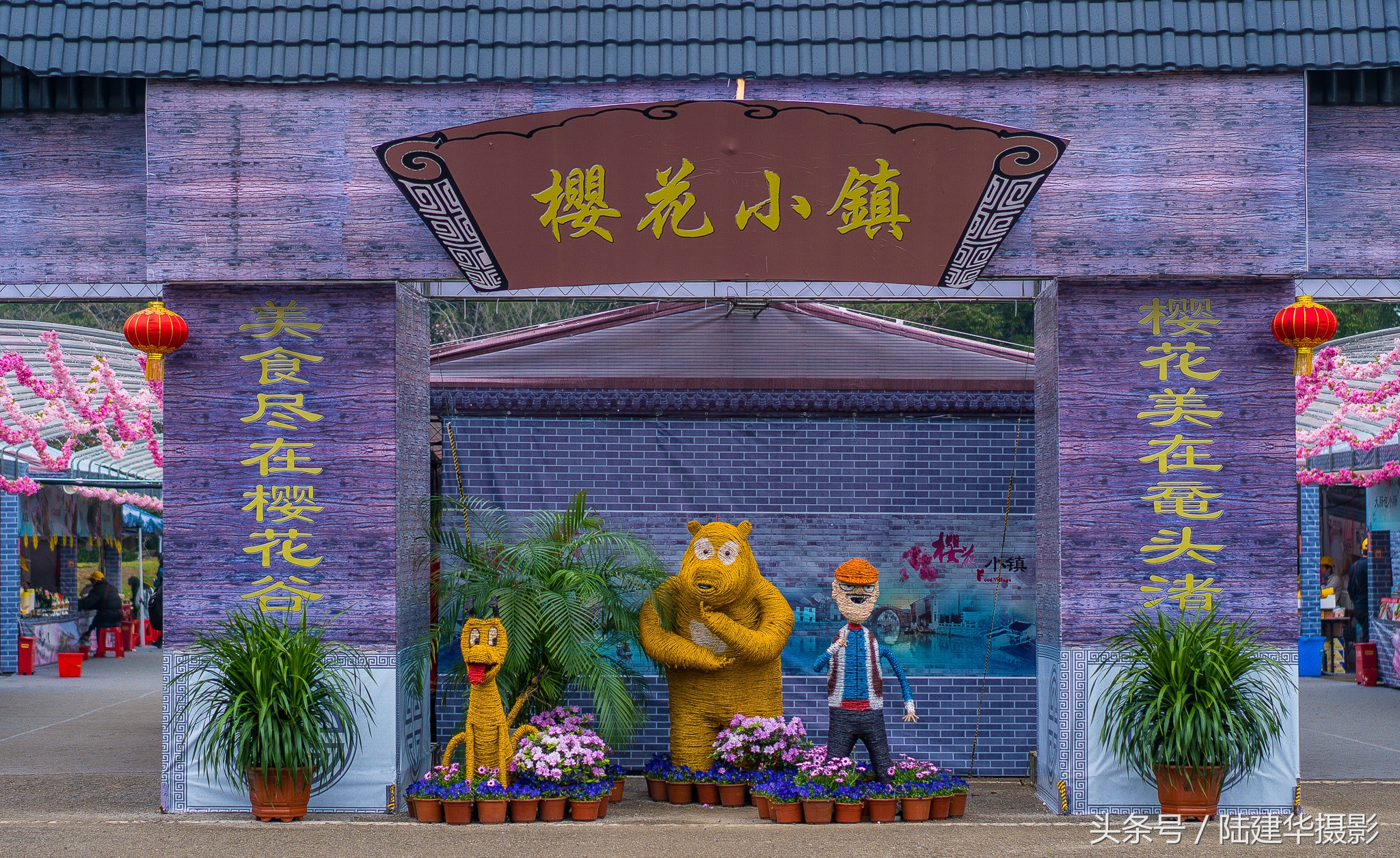 太湖赏樱花鼋头渚旅行攻略,太湖鼋头渚风景区看樱花旅游攻略