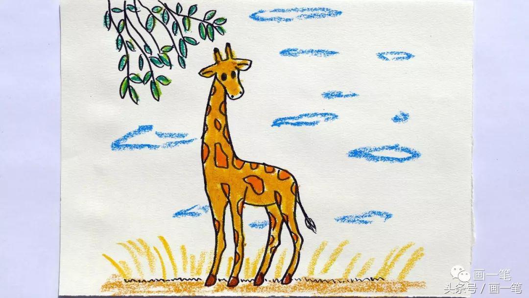 吃竹子的小熊猫怎么画简单又好看,怎么画正在竹林里吃竹子的小熊猫