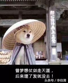 理发有坑怎么回事,理发的坑你中了几个