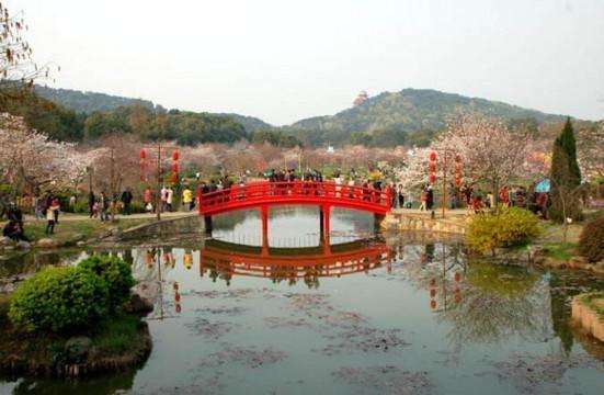 三大赏樱花胜地,又一年樱花盛开