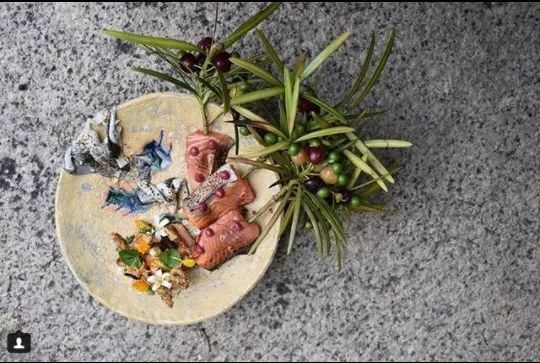 跟着澳洲大厨一起去“打野食”