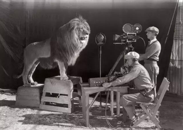 站着的霍金的照片,希拉里和霍金