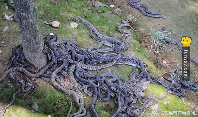 世界公认的世界十大禁区,世界上的十大禁区你都听过吗