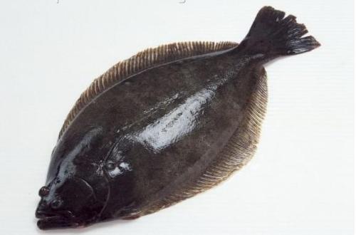 最顶级六种鱼子酱,正宗鱼子酱有哪几种