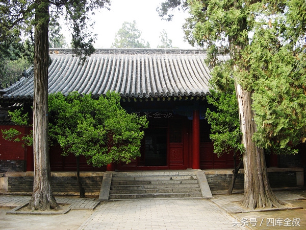 孔林山东曲阜,曲阜孔林古会