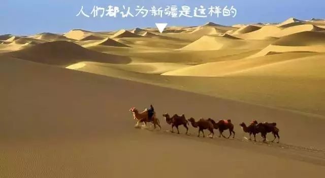 疆内和疆外的区别,疆新