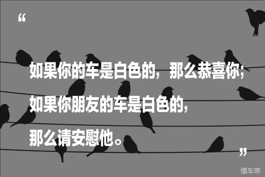 小鸟拉屎在车上有什么说法,最近总是有鸟拉屎在身上