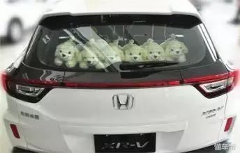 车主必看！车顶贴了这种东西，出了事你要负全责！