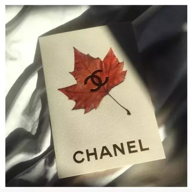 chanel2018秋冬秀场展示,chanel包包春夏秀