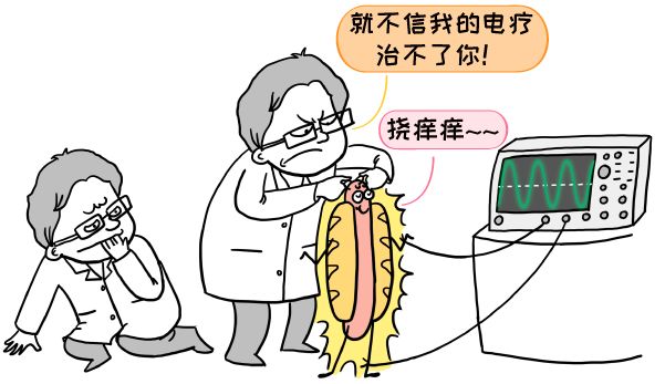 动动鼠标,超导量子处理器