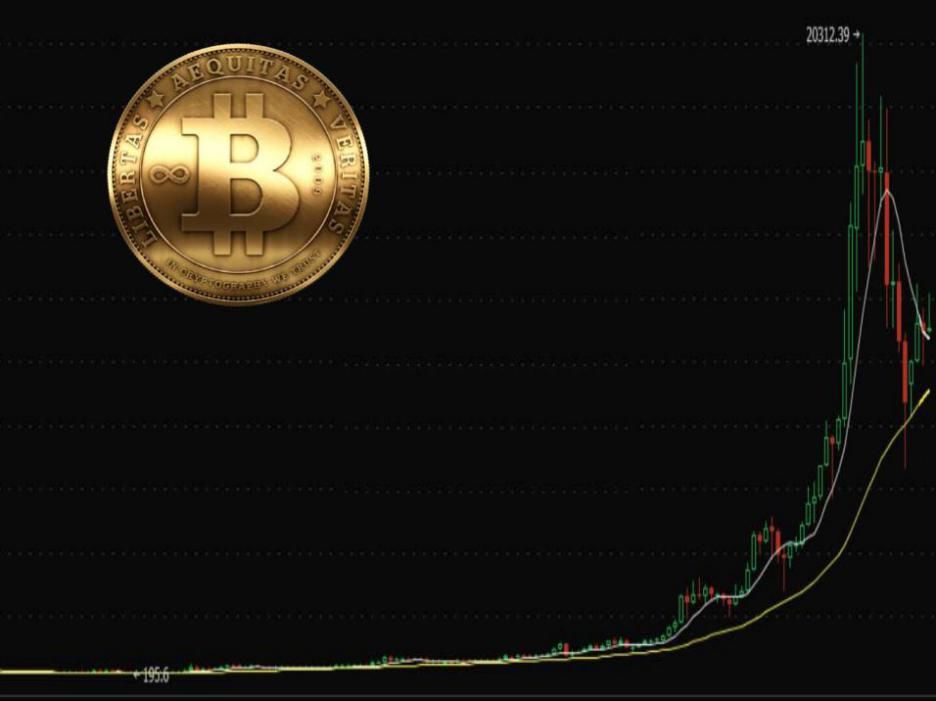 *币特比**：黎明前的黑暗还是水中之月？