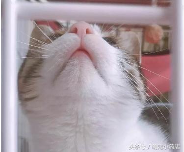 感谢你陪我走过人生这段路,感谢你陪我走在人生的低谷