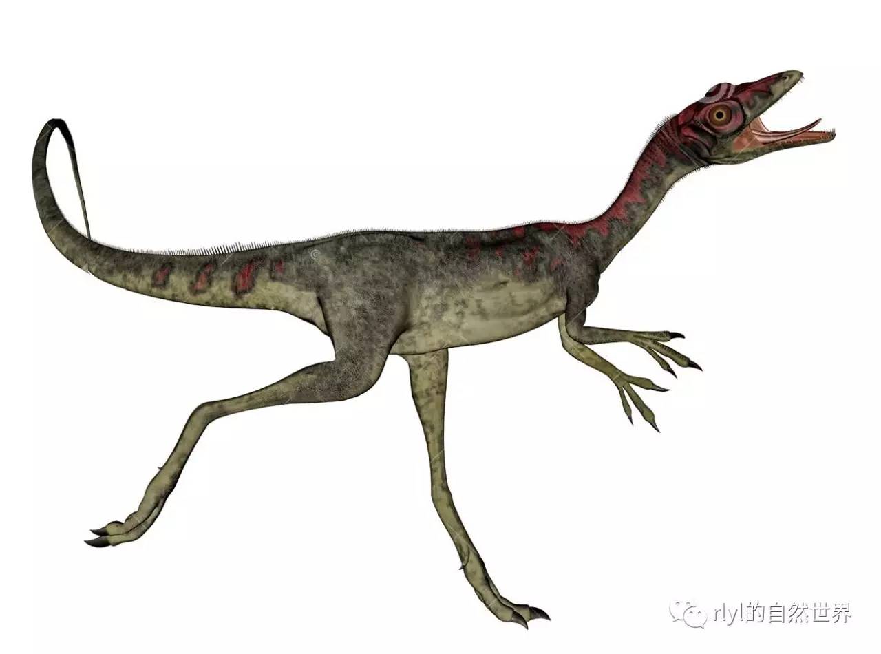 恐龙世界上最强的恐龙是什么恐龙,世界上超级大的恐龙是什么恐龙