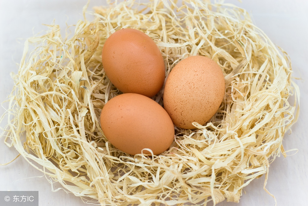 蛋鸡吃蛋怎么办,蛋鸡产蛋无高峰的解决方法