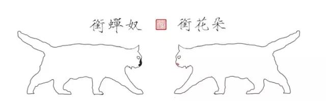 猫谱:因相成名,因名成谱《蓝毛毛找猫》24:猫出有名