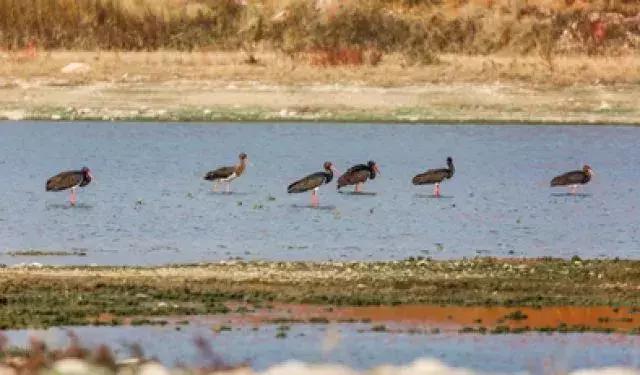 水映京城：千年古都水之梦