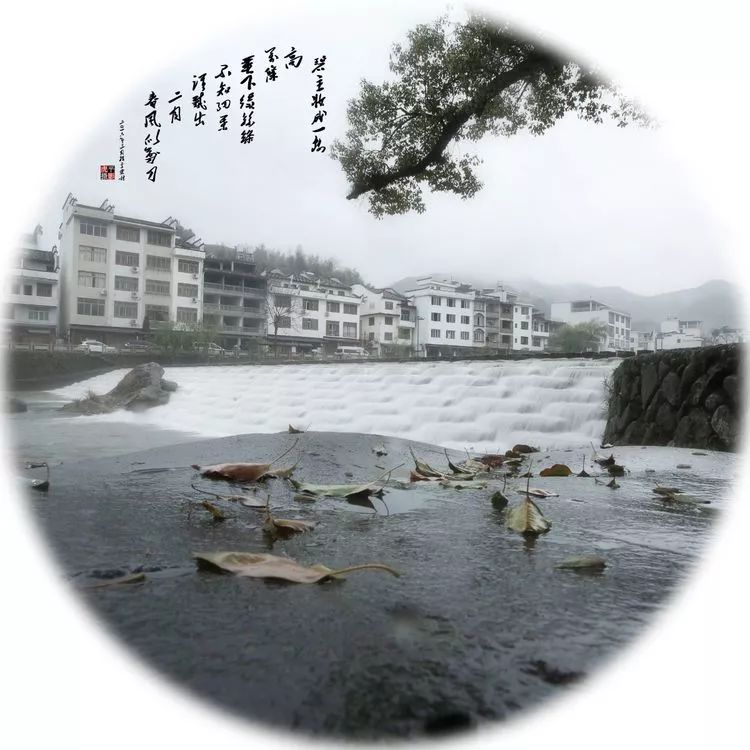 西浦村状元叫什么,廊桥水乡西浦村视频