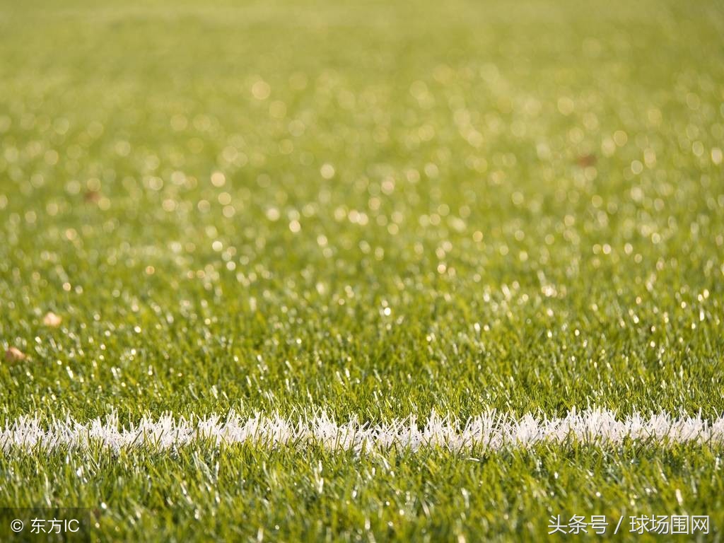 球场围网厂家规格多少钱,球场围网生产厂家篮球场