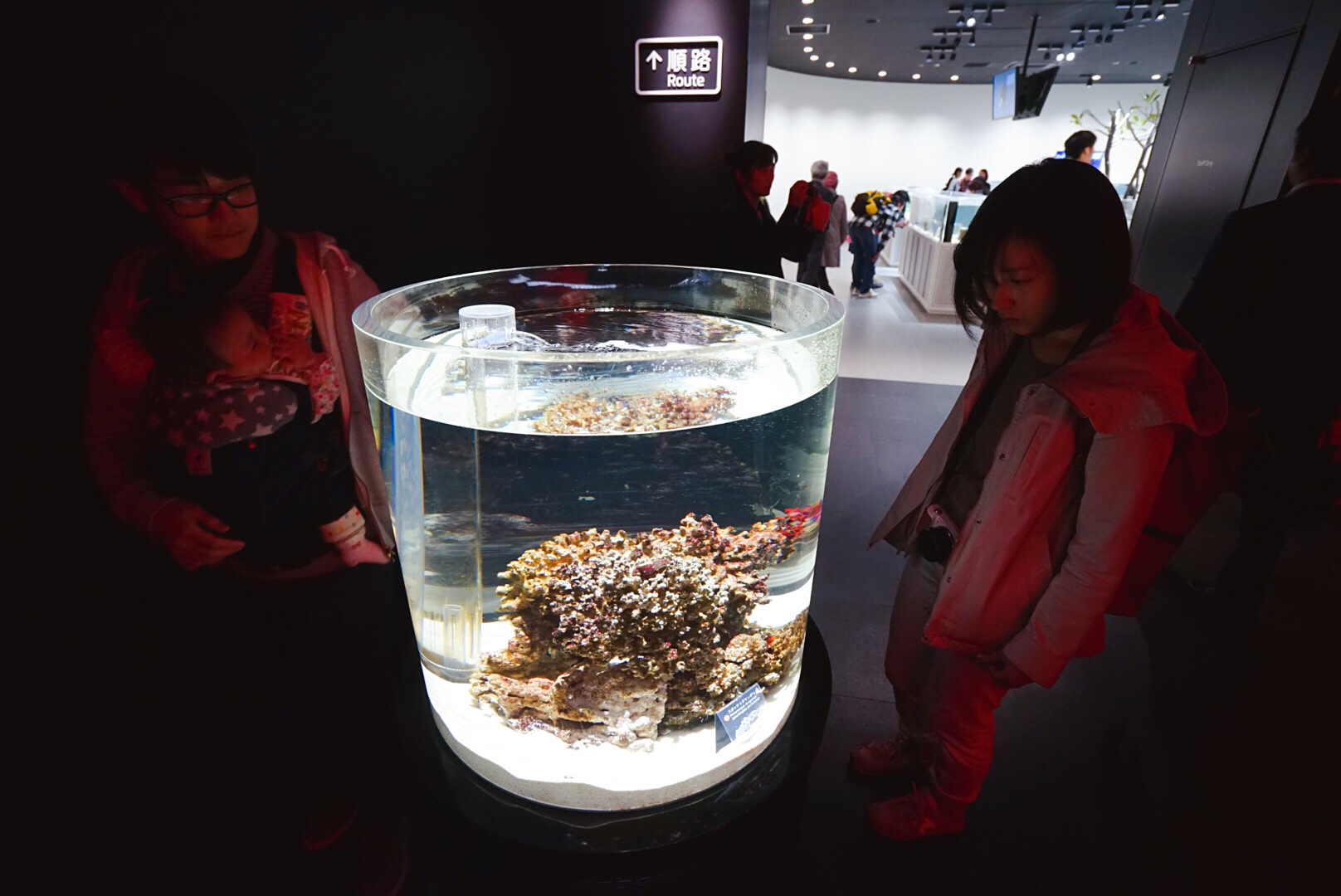 日本大阪之旅感受,日本自由行大阪游记