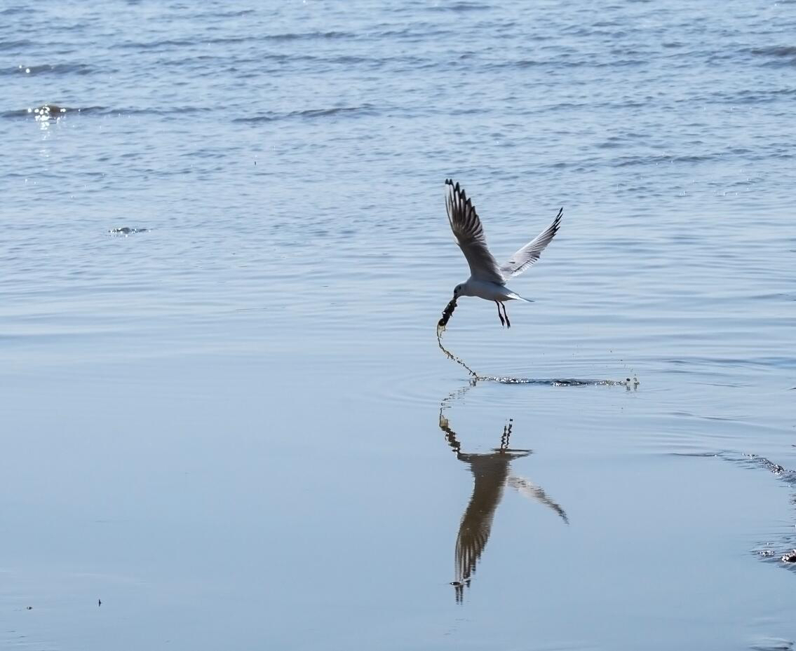 加盟汽车美容店要投资多少钱,汽车美容投资项目一览表