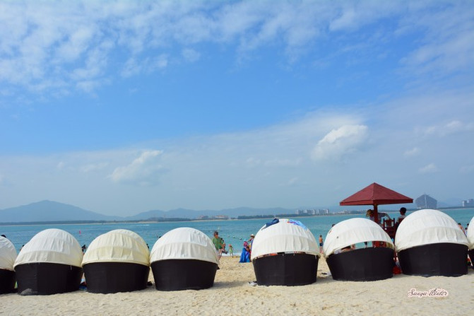 相约海之南歌曲,浪漫走天涯相约海之南