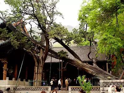 山旅太原，第一站，晋源区——晋祠