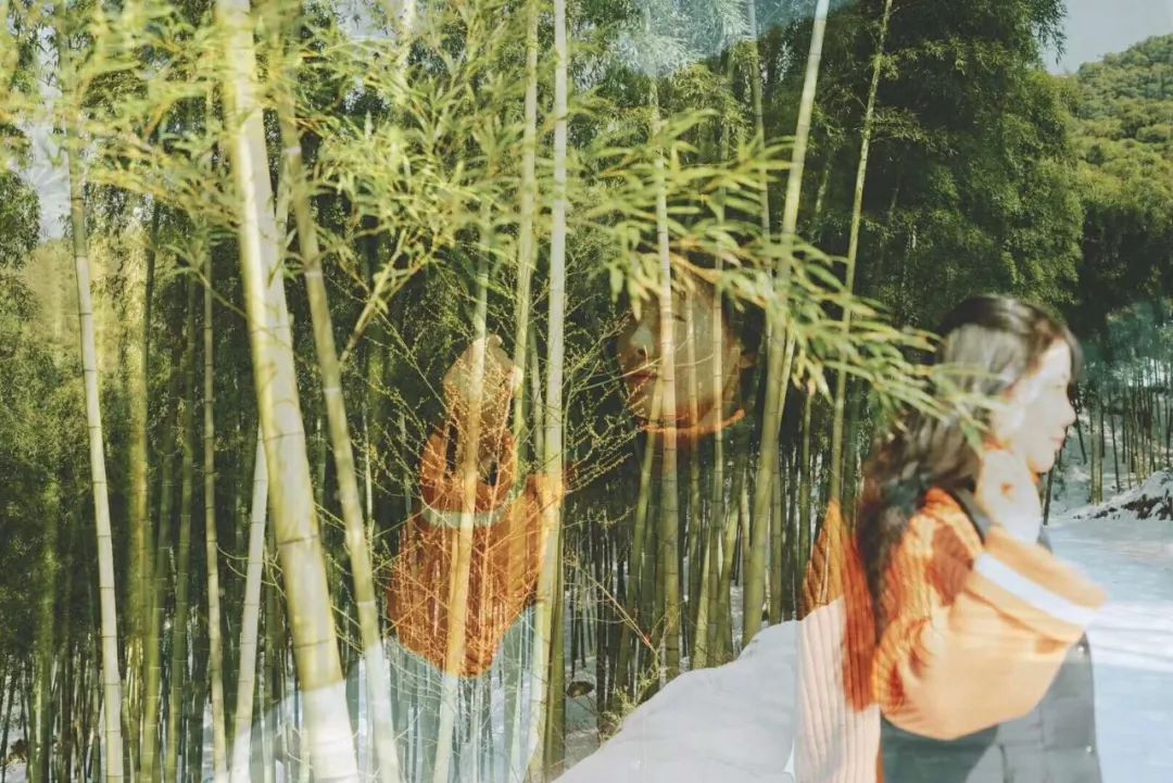 当东方遇上西方,当东方遇见西方戛纳