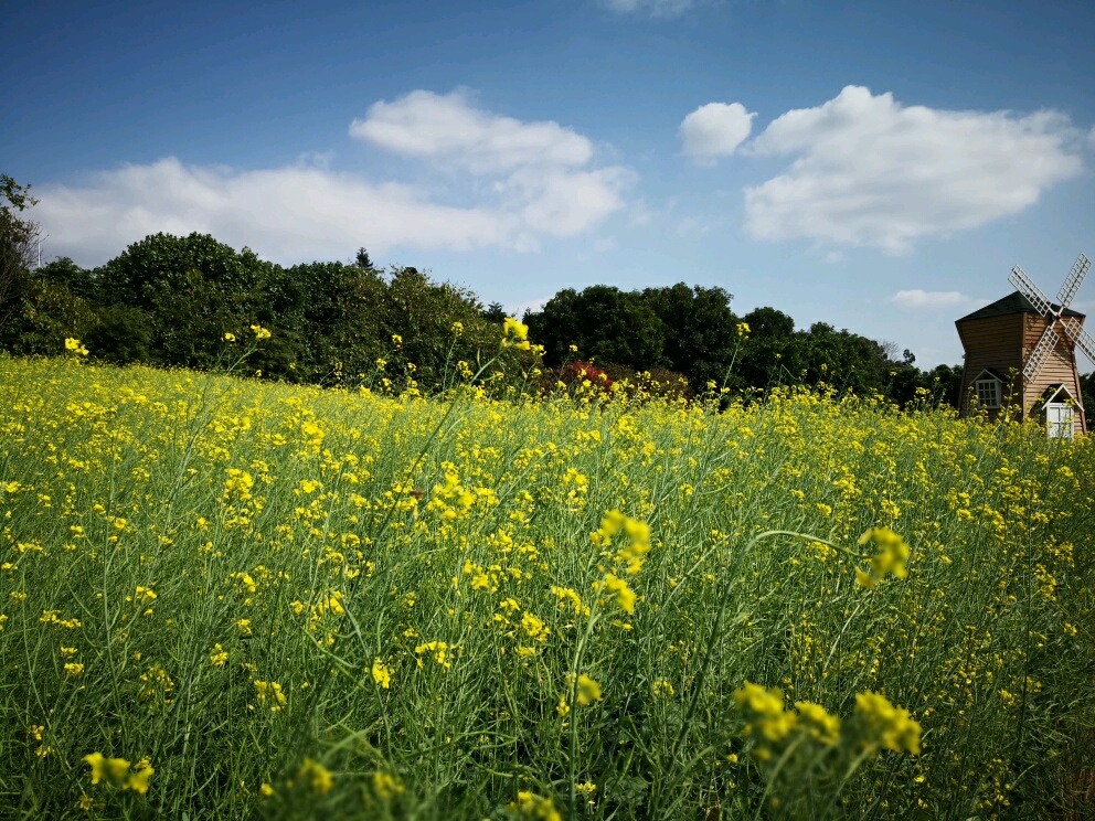 海珠湖国家湿地公园钓鱼,海珠湖国家湿地公园开放时间