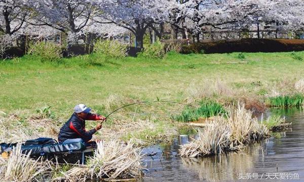 每次钓完鱼鱼竿怎么保养,鱼竿可以用凡士林保养吗