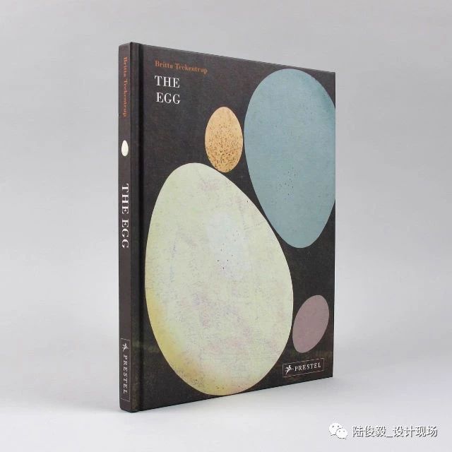 国际获奖26本绘本,2019年最佳绘本