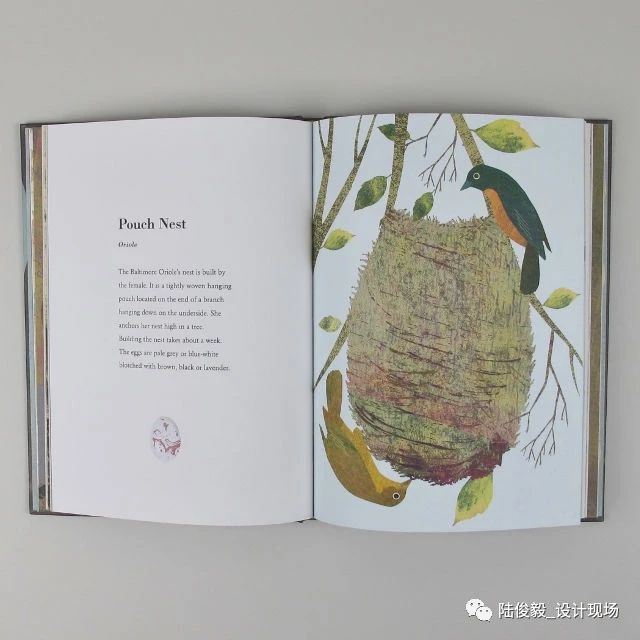 国际获奖26本绘本,2019年最佳绘本