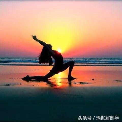 瑜伽真的是骗人的吗,瑜伽到底是不是骗人的