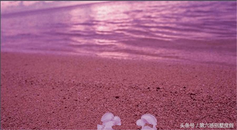 去大溪地旅游多少费用一周,去大溪地的费用