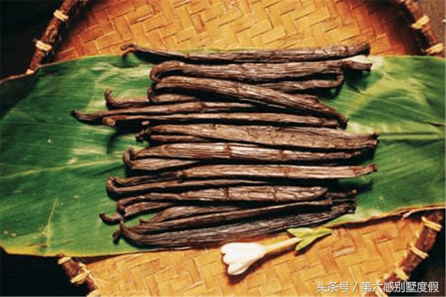 去大溪地旅游多少费用一周,去大溪地的费用