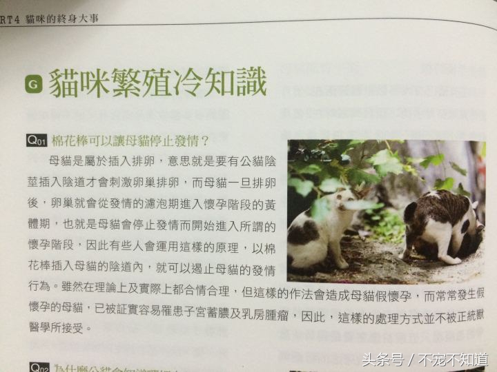 如何判断自家宠物是否发情了？