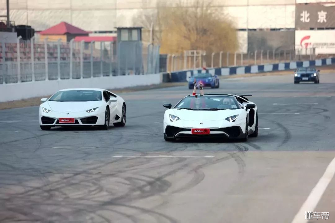 我和春天有个约会,我和春天有个约会阅读